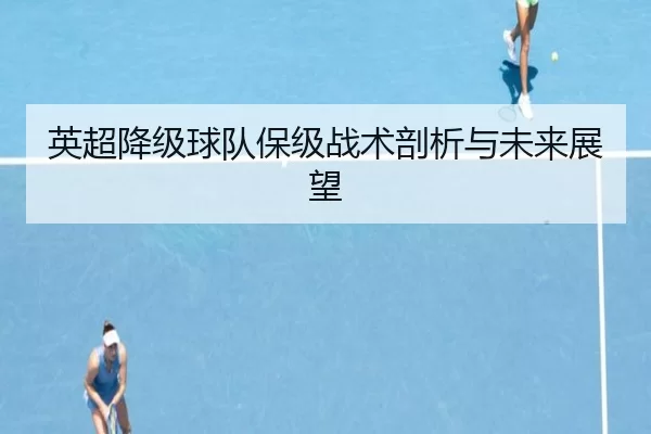 英超降级球队保级战术剖析与未来展望